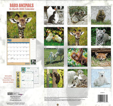 Load image into Gallery viewer, 2023 Baby Animals Full Size Wall Calendar for Planning, Scheduling, and Organizing
