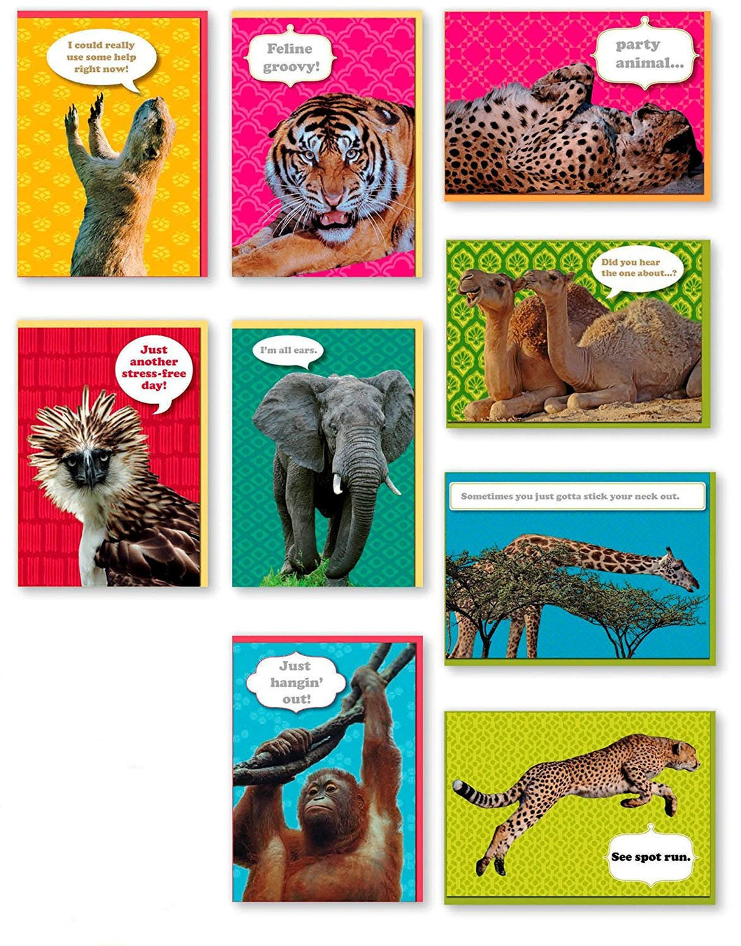 Assorted 9-Pack Animal Box Set All Occasion National Geographic Greeting Cards Bulk with Tiger, Elephant, Giraffe, Cheetah, Monkey & More for Her for Him