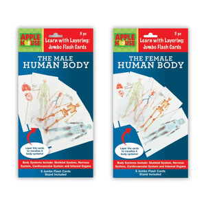B-THERE Bundle of 2 Layering The Human Body Activities. Both Female and Male Layering The Human Body Activity Flash Cards