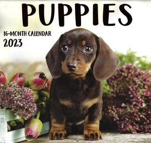 2023 Puppies Full Size Wall Calendar for Planning, Scheduling, and Organizing